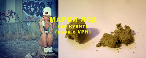 PSILOCYBIN Армянск