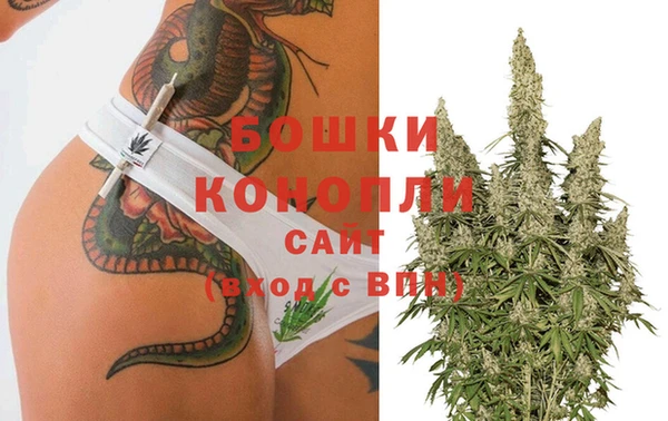 PSILOCYBIN Армянск