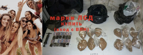 PSILOCYBIN Армянск