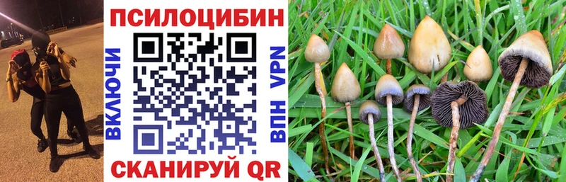 Псилоцибиновые грибы ЛСД  даркнет как зайти  Бавлы 